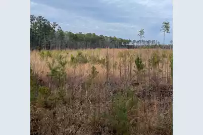 Tbd Rocky Ford Road, Salters, SC 29590 - Photo 5