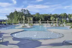 117 Pocket Bend Cir, Summerville, SC 29486 - Photo 47