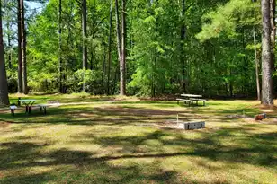 85 Ridge Lake Dr, Manning, SC 29102 - Photo 57