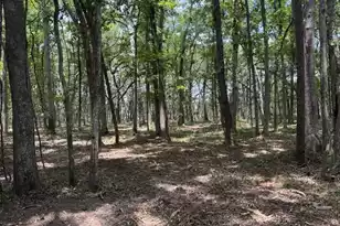 00 Beagle Club Rd, Meggett, SC 29449 - Photo 1