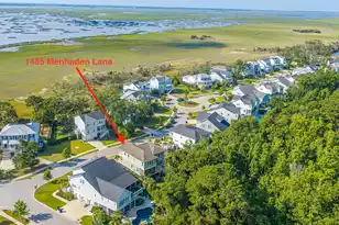 1485 Menhaden Ln, Mount Pleasant, SC 29466 - Photo 41