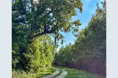 0 Henry Road, Hemingway, SC 29554 - Photo 3