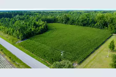 0 Henry Road, Hemingway, SC 29554 - Photo 23