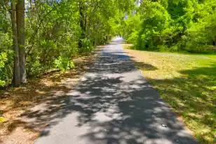 415 Parkdale Dr #Apt 6A, Charleston, SC 29414 - Photo 27