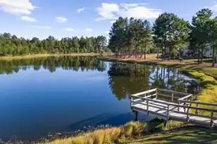 320 Long Pier St, Summerville, SC 29486 - Photo 23