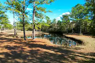 6615 Old Jacksonboro Rd, Ravenel, SC 29470 - Photo 55