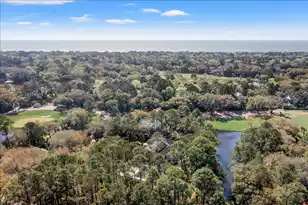 42 Cotton Hall, Kiawah Island, SC 29455 - Photo 63