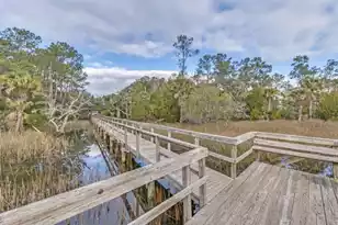 3491 Toomer Kiln Cir, Mount Pleasant, SC 29466 - Photo 43