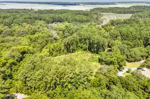 5979 Joseph Blake Ln, Wadmalaw Island, SC 29487 - Photo 13