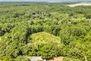 5979 Joseph Blake Ln, Wadmalaw Island, SC 29487 - Photo 15