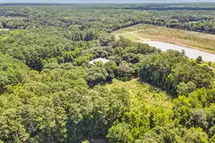 5979 Joseph Blake Ln, Wadmalaw Island, SC 29487 - Photo 11