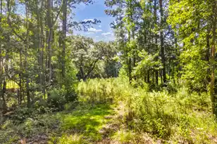 5979 Joseph Blake Ln, Wadmalaw Island, SC 29487 - Photo 7