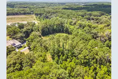 5979 Joseph Blake Lane, Wadmalaw Island, SC 29487 - Photo 9