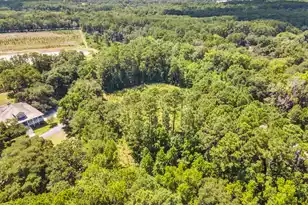 5979 Joseph Blake Ln, Wadmalaw Island, SC 29487 - Photo 9