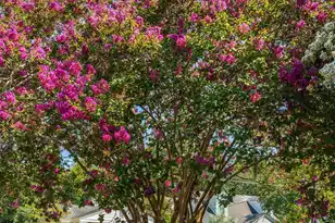 29 Campbell Dr, Charleston, SC 29407 - Photo 75