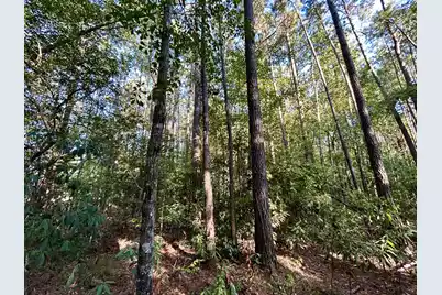 0 Fc Cox Road, Hemingway, SC 29554 - Photo 7