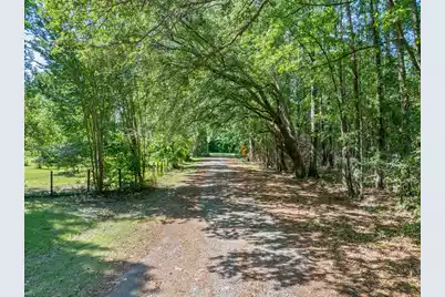 60 Aviary Lane, Green Pond, SC 29446 - Photo 7