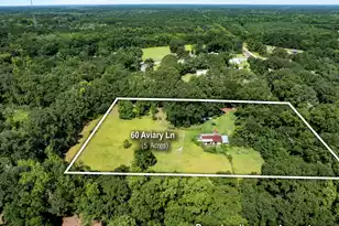 60 Aviary Ln, Green Pond, SC 29446 - Photo 1