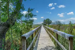 9661 2 Pines Rd, McClellanville, SC 29458 - Photo 67