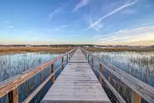141 Wando Reach Rd, Charleston, SC 29492 - Photo 71
