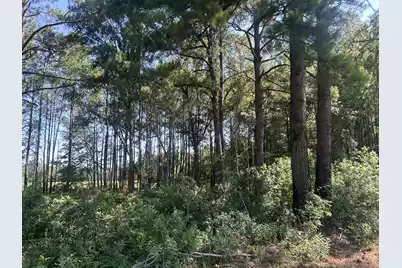 4 Trojan Road, Cross, SC 29436 - Photo 23