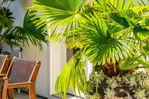 105 May Ln, Mount Pleasant, SC 29464 - Photo 69