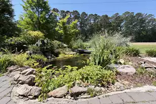 4152 Home Town Ln, Ravenel, SC 29470 - Photo 37
