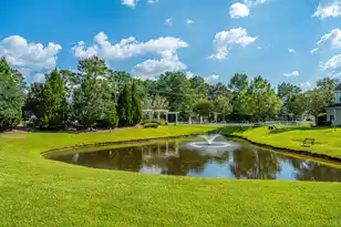 507 Hemingway Cir, Summerville, SC 29483 - Photo 37