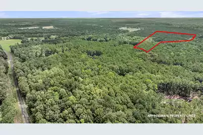 0 Canewood Lane, Ridgeville, SC 29472 - Photo 17