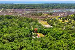 8246 Oyster Factory Rd, Edisto Island, SC 29438 - Photo 59
