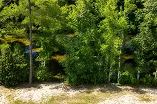 134 Wells Cir, Saint Stephen, SC 29479 - Photo 29