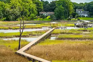 5188 Timber Race Course, Hollywood, SC 29449 - Photo 75