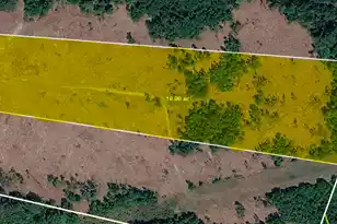 1462 Johnsville Rd, Smoaks, SC 29481 - Photo 1