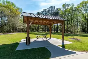 432 Duskywing Dr, Goose Creek, SC 29445 - Photo 33