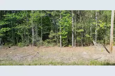 00 Rabb, Walterboro, SC 29488 - Photo 3
