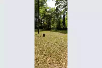 00 Rabb, Walterboro, SC 29488 - Photo 5
