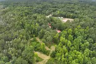 349 Bird Dog Ln, Cottageville, SC 29435 - Photo 1