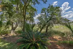 8840 Marsh Aire Ln, Edisto Island, SC 29438 - Photo 43
