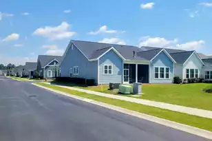 3501 Artful Loop, Mount Pleasant, SC 29466 - Photo 3