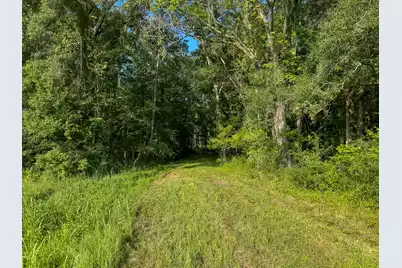 0 Hope Plantation Lane, Jacksonboro, SC 29452 - Photo 27