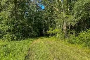 0 Hope Plantation Ln, Jacksonboro, SC 29452 - Photo 27
