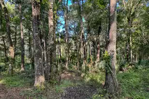 0 Hope Plantation Ln, Jacksonboro, SC 29452 - Photo 29