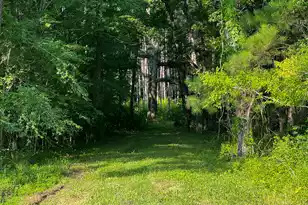 0 Hope Plantation Ln, Jacksonboro, SC 29452 - Photo 25