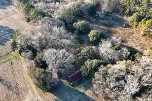 0 Hope Plantation Ln, Jacksonboro, SC 29452 - Photo 67