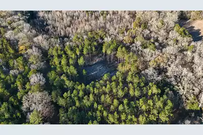 0 Hope Plantation Lane, Jacksonboro, SC 29452 - Photo 61