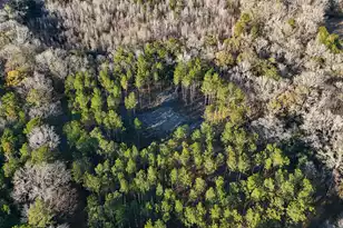 0 Hope Plantation Ln, Jacksonboro, SC 29452 - Photo 61