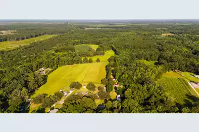 0 Hope Plantation Lane, Jacksonboro, SC 29452 - Photo 3