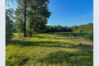 0 Hope Plantation Lane, Jacksonboro, SC 29452 - Photo 21