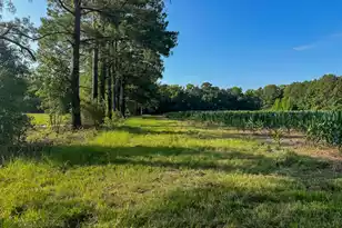 0 Hope Plantation Ln, Jacksonboro, SC 29452 - Photo 21