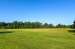 0 Hope Plantation Ln, Jacksonboro, SC 29452 - Photo 11